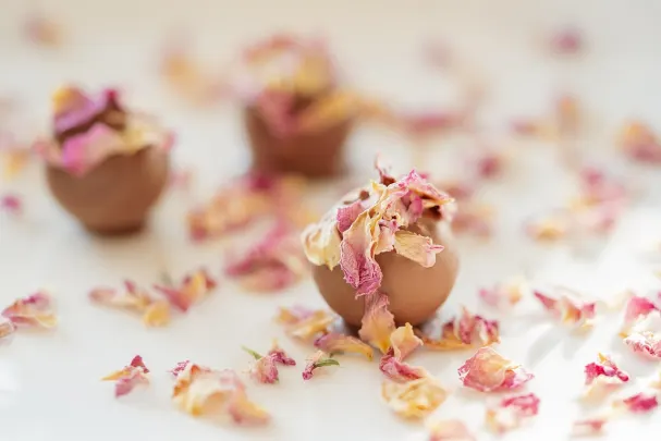 أوتو كازينو تطبيق أندرويد/آي أو إس